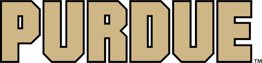 Purdue Boilermakers 2020-Pres Wordmark Logo diy iron on heat transfer
